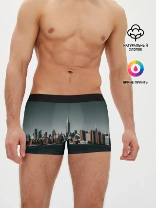Мужские трусы боксеры / Вид на Нью Йорк