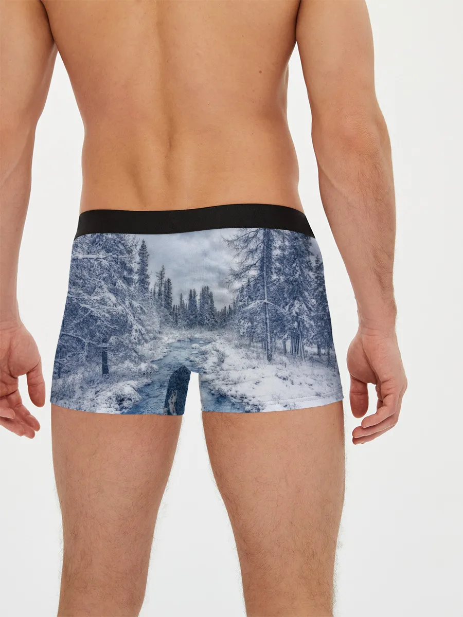 Мужские трусы боксеры / СНЕЖНЫЙ ПЕЙЗАЖ