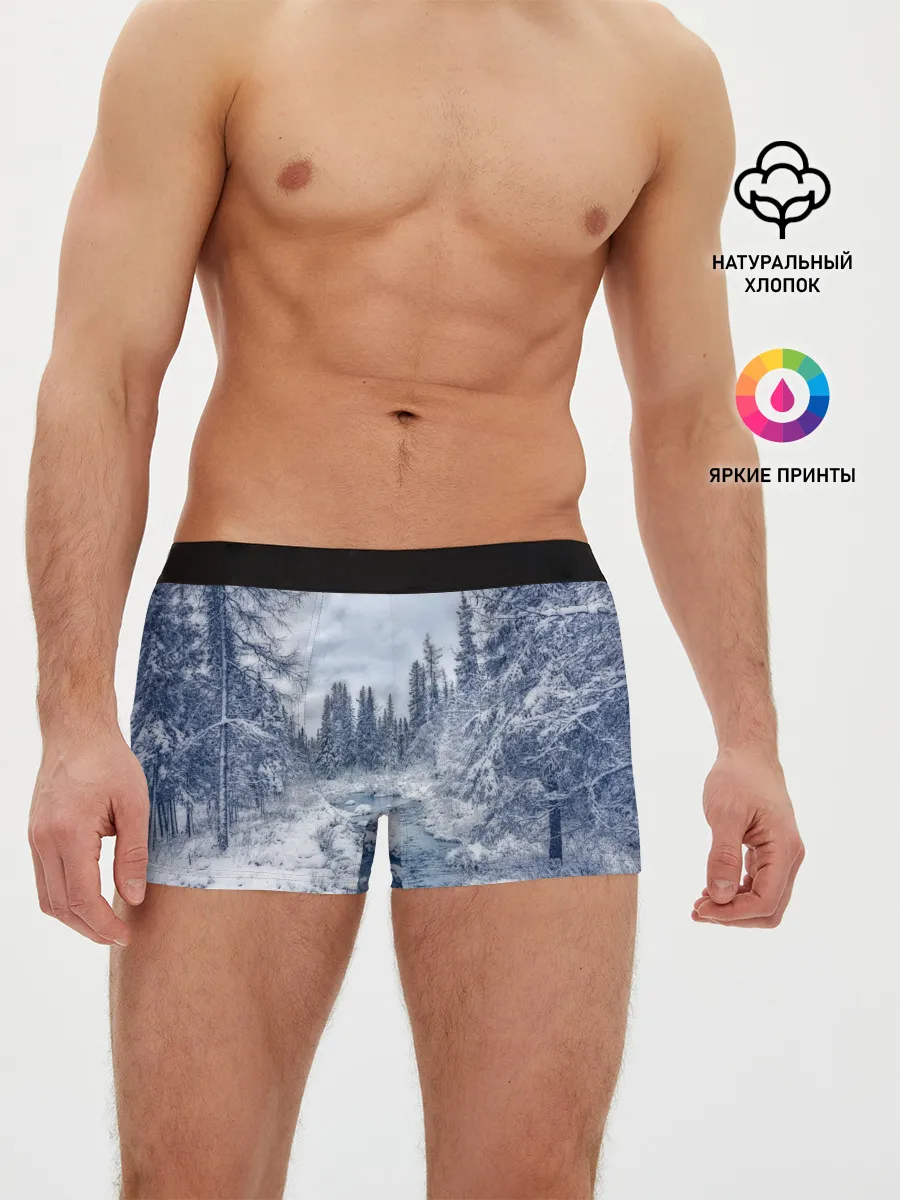 Мужские трусы боксеры / СНЕЖНЫЙ ПЕЙЗАЖ