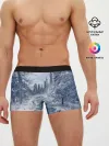 Мужские трусы боксеры / СНЕЖНЫЙ ПЕЙЗАЖ