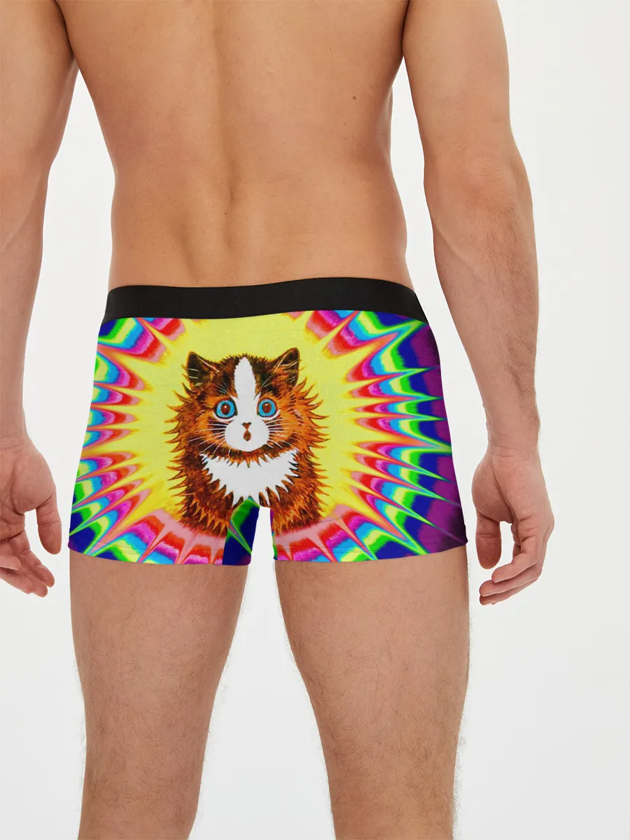 Мужские трусы боксеры / Psychedelic Rainbow Cat