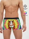 Мужские трусы боксеры / Psychedelic Rainbow Cat