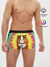 Мужские трусы боксеры / Psychedelic Rainbow Cat