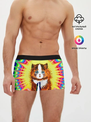 Мужские трусы боксеры / Psychedelic Rainbow Cat