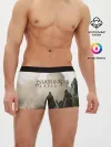 Мужские трусы боксеры / ASSASSINS CREED, игра