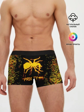 Мужские трусы боксеры / The Prodigy | логотип
