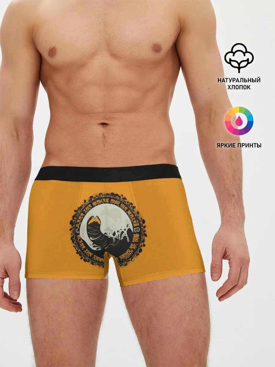 Мужские трусы боксеры / Worm 2021