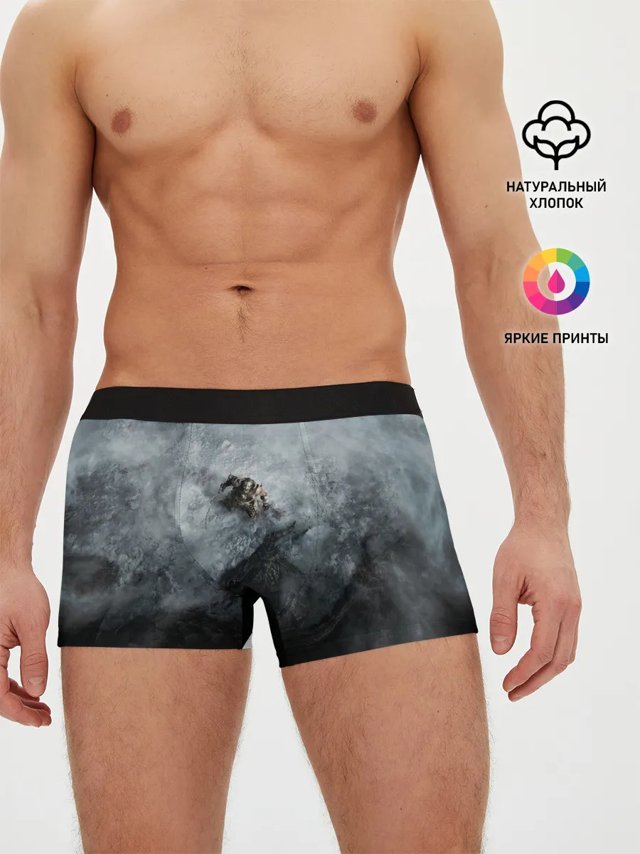 Мужские трусы боксеры / Победа над драконом