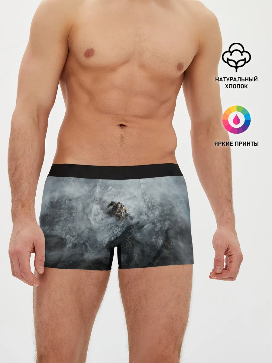 Мужские трусы боксеры / Победа над драконом