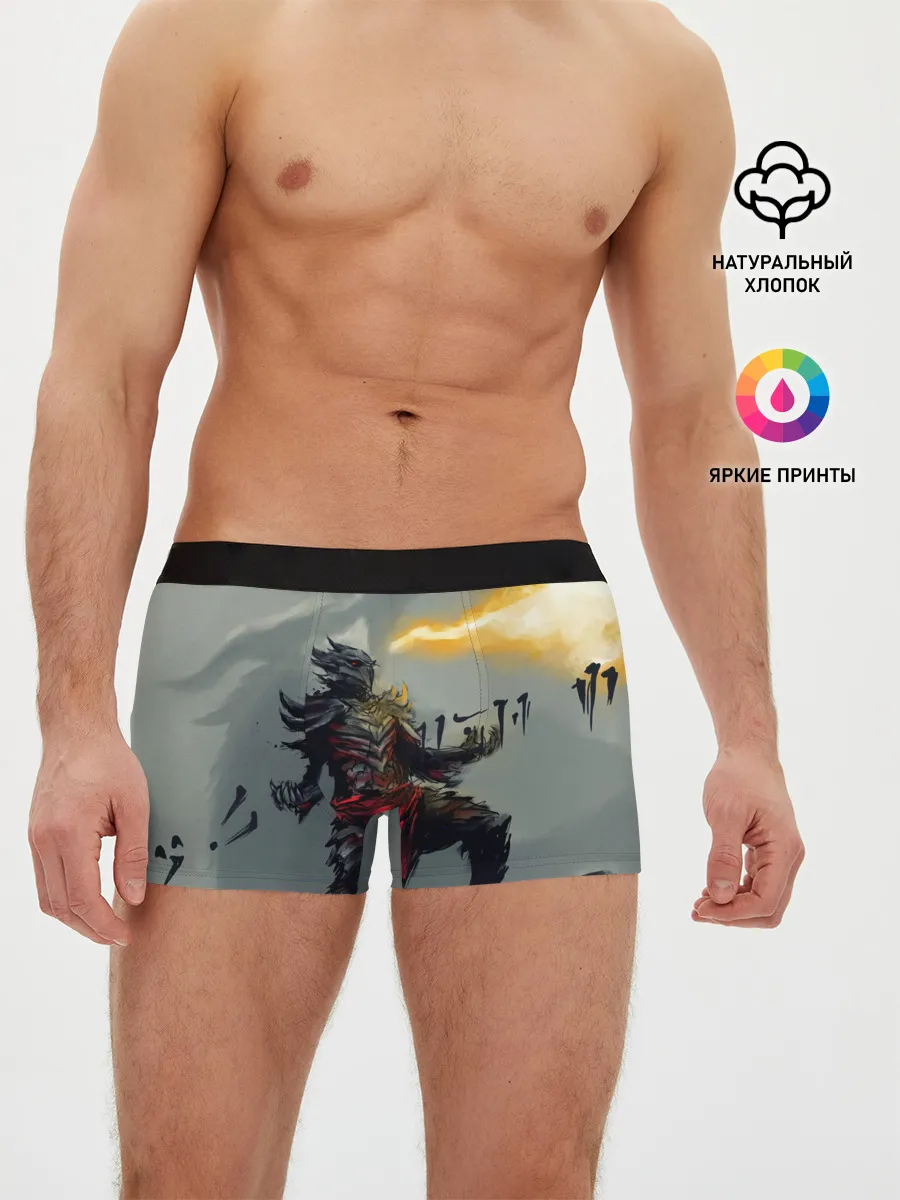 Мужские трусы боксеры / Dragonborne is here