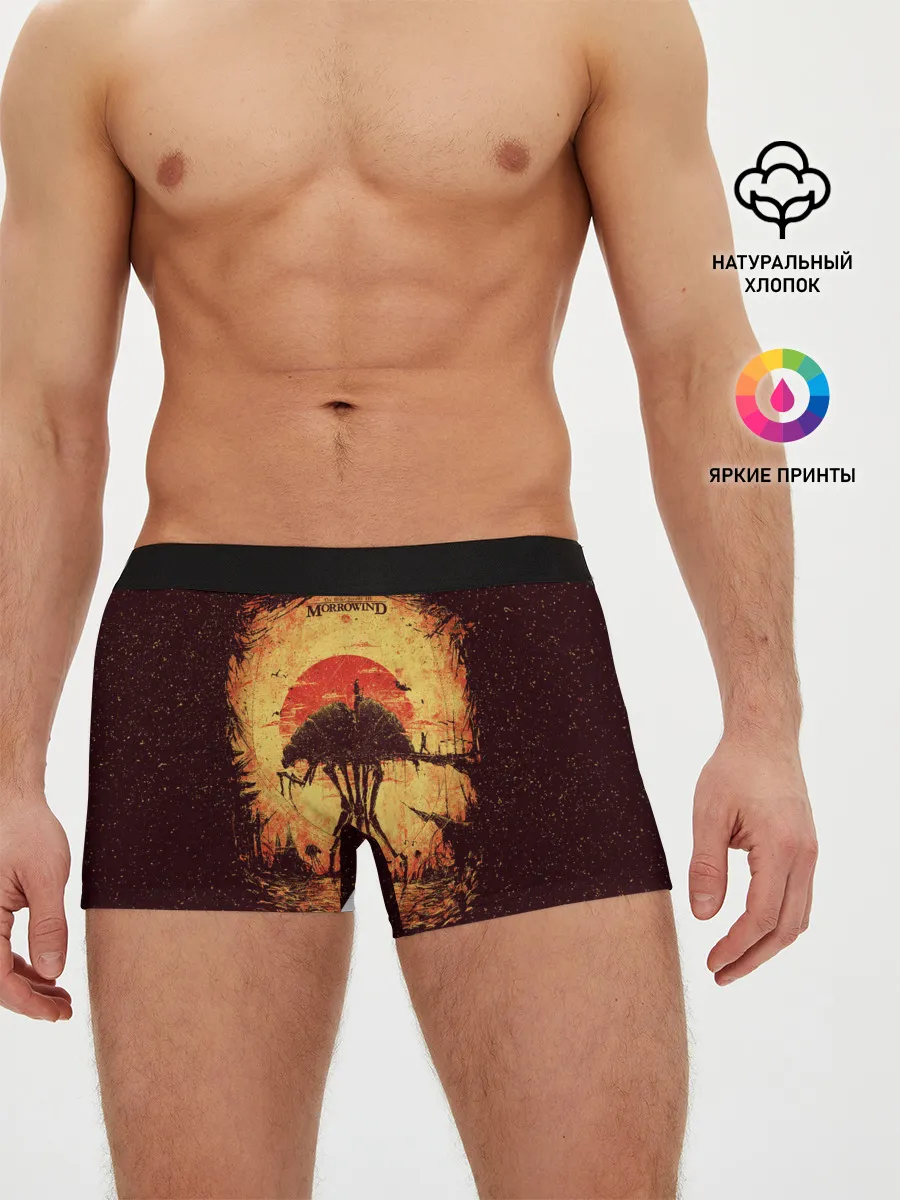 Мужские трусы боксеры / K.aЛюбимый Моровинд