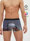 Мужские трусы боксеры / Genshin Impact: Razor Genshin.