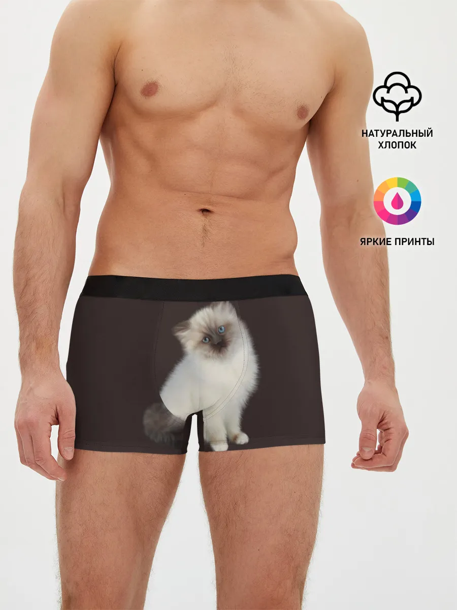 Мужские трусы боксеры / Котенок Ми
