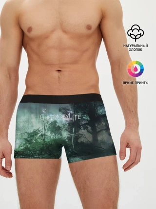 Мужские трусы боксеры / Chernobylite игровой арт