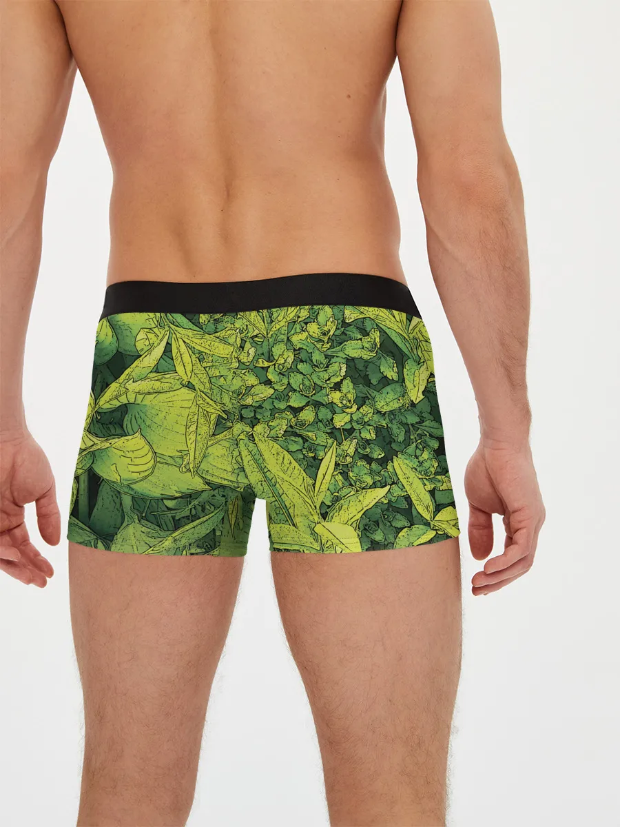 Мужские трусы боксеры / Растительная жизнь - Хоста