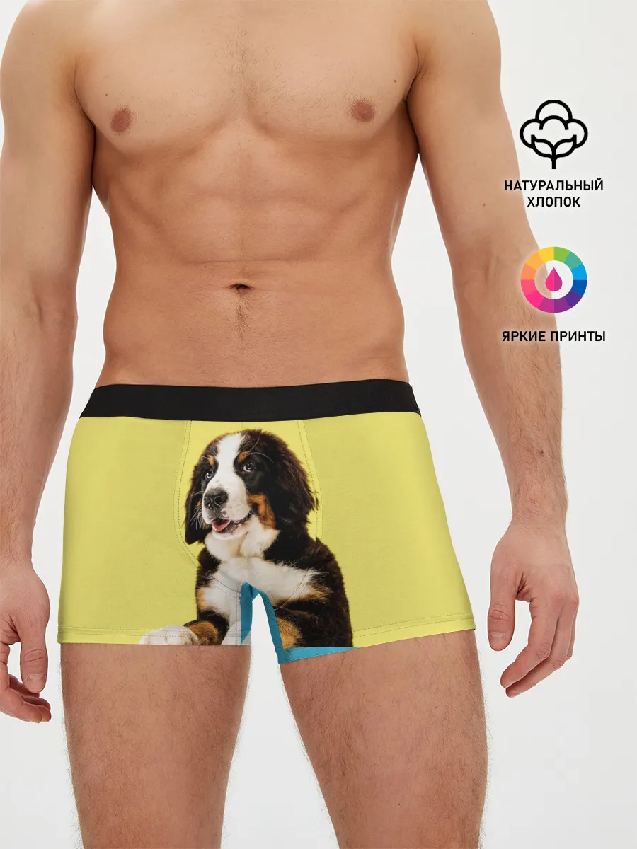 Мужские трусы боксеры / Бернский зенненхунд, Berner Sennenhund