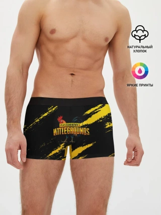 Мужские трусы боксеры / Playerunknowns Battlegrounds: Петух.