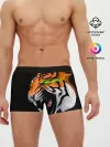 Мужские трусы боксеры / Тигр, с зелеными глазами
