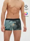 Мужские трусы боксеры / TES FUS RO DAH | DRAGON