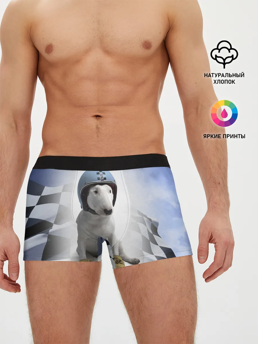 Мужские трусы боксеры / Bully - легендарный гонщик