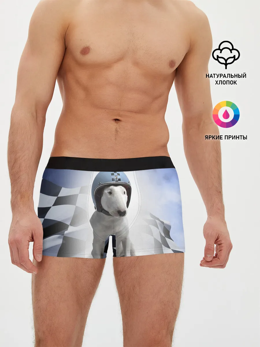 Мужские трусы боксеры / Bully - легендарный гонщик