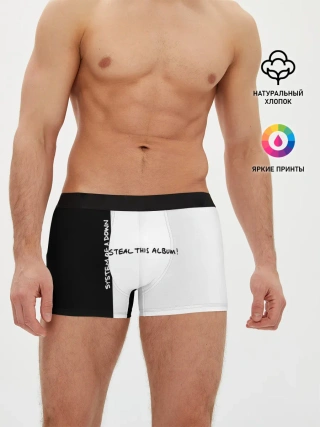 Мужские трусы боксеры / System of a Down - Steal This Album!