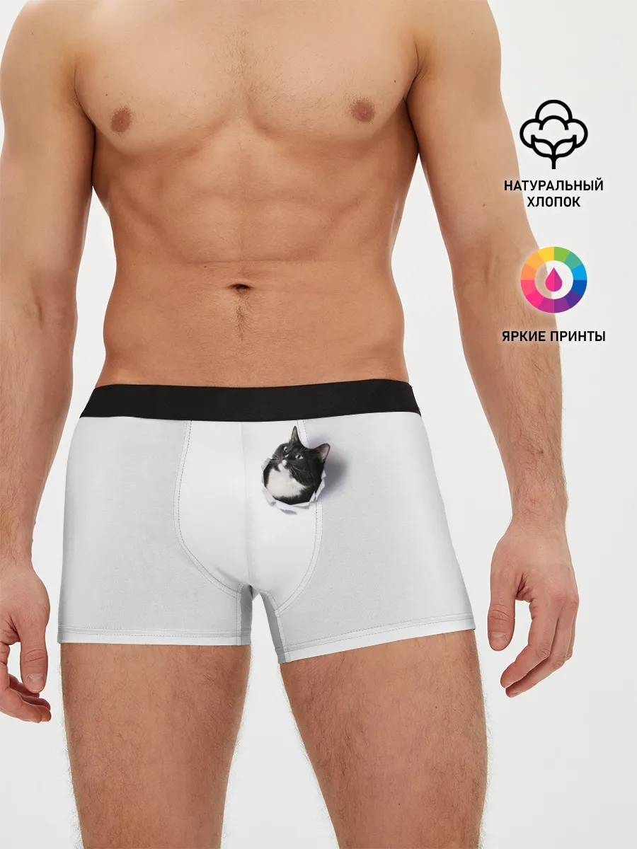 Мужские трусы боксеры / КОТ В СЕРДЦЕ