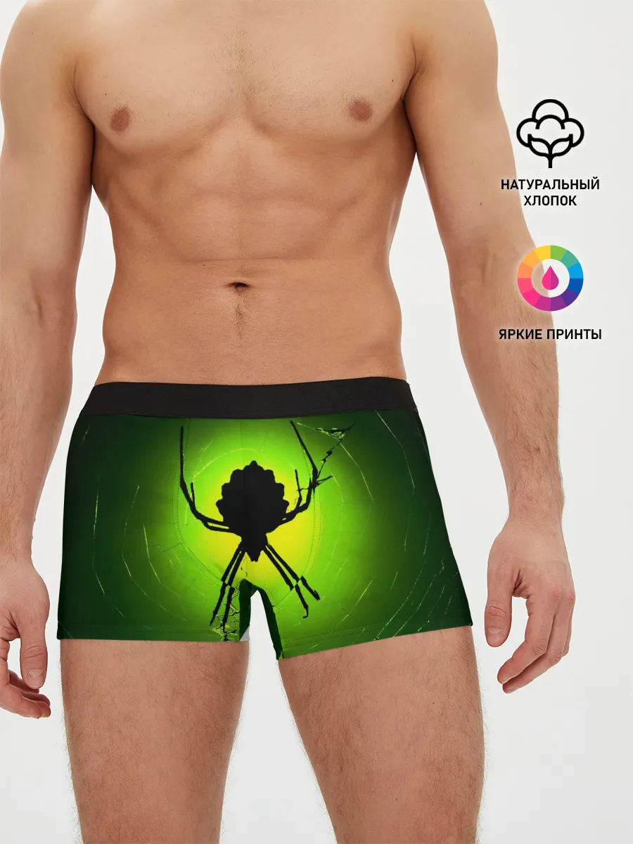 Мужские трусы боксеры / Паук | Spider