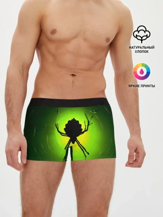 Мужские трусы боксеры / Паук | Spider