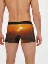 Мужские трусы боксеры / Берсерк закат
