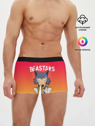 Мужские трусы боксеры / ВЫДАЮЩИЕСЯ ЗВЕРИ