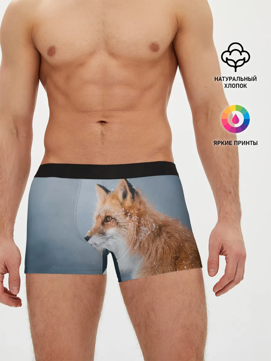 Мужские трусы боксеры / Лиса