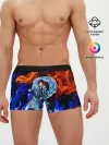 Мужские трусы боксеры / ТАНДЖИРО