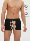Мужские трусы боксеры / Shogun Cat