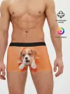 Мужские трусы боксеры / Собака