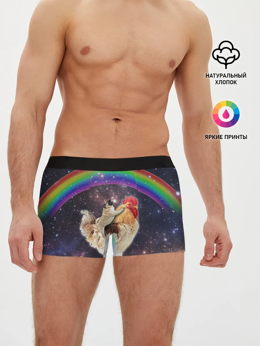 Мужские трусы боксеры / Мопс на курице в космосе