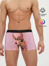 Мужские трусы боксеры / лама с цветами