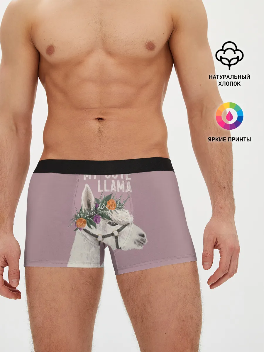 Мужские трусы боксеры / My cute llama
