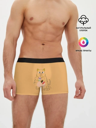 Мужские трусы боксеры / РЫЖИЙ КОТ ТОЛСТЯК