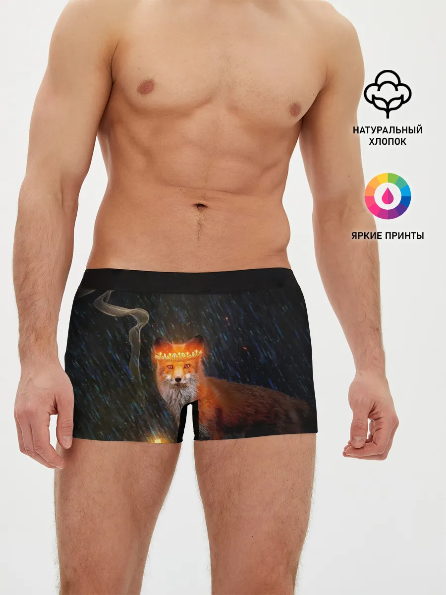 Мужские трусы боксеры / Лиса с огненной короной