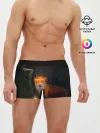 Мужские трусы боксеры / Лиса с огненной короной