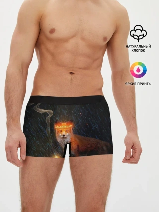 Мужские трусы боксеры / Лиса с огненной короной