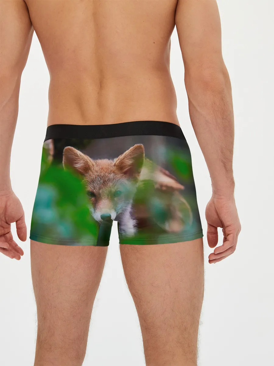 Мужские трусы боксеры / Лисичка