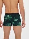 Мужские трусы боксеры / листва