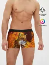 Мужские трусы боксеры / Огненный Лис