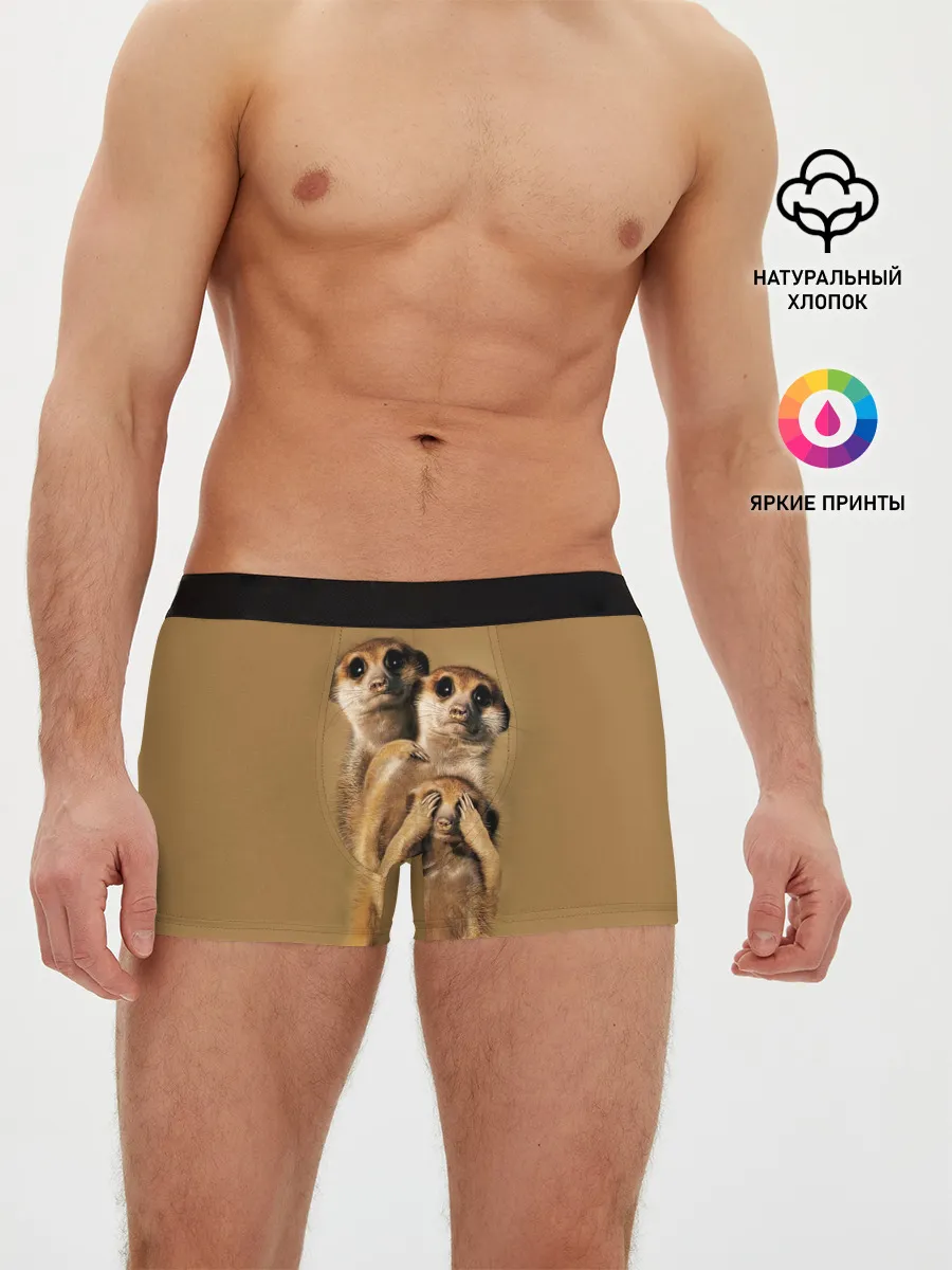 Мужские трусы боксеры / Сурикаты