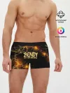 Мужские трусы боксеры / BENDY LOGO