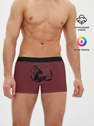Мужские трусы боксеры / Ichigo. Final Form