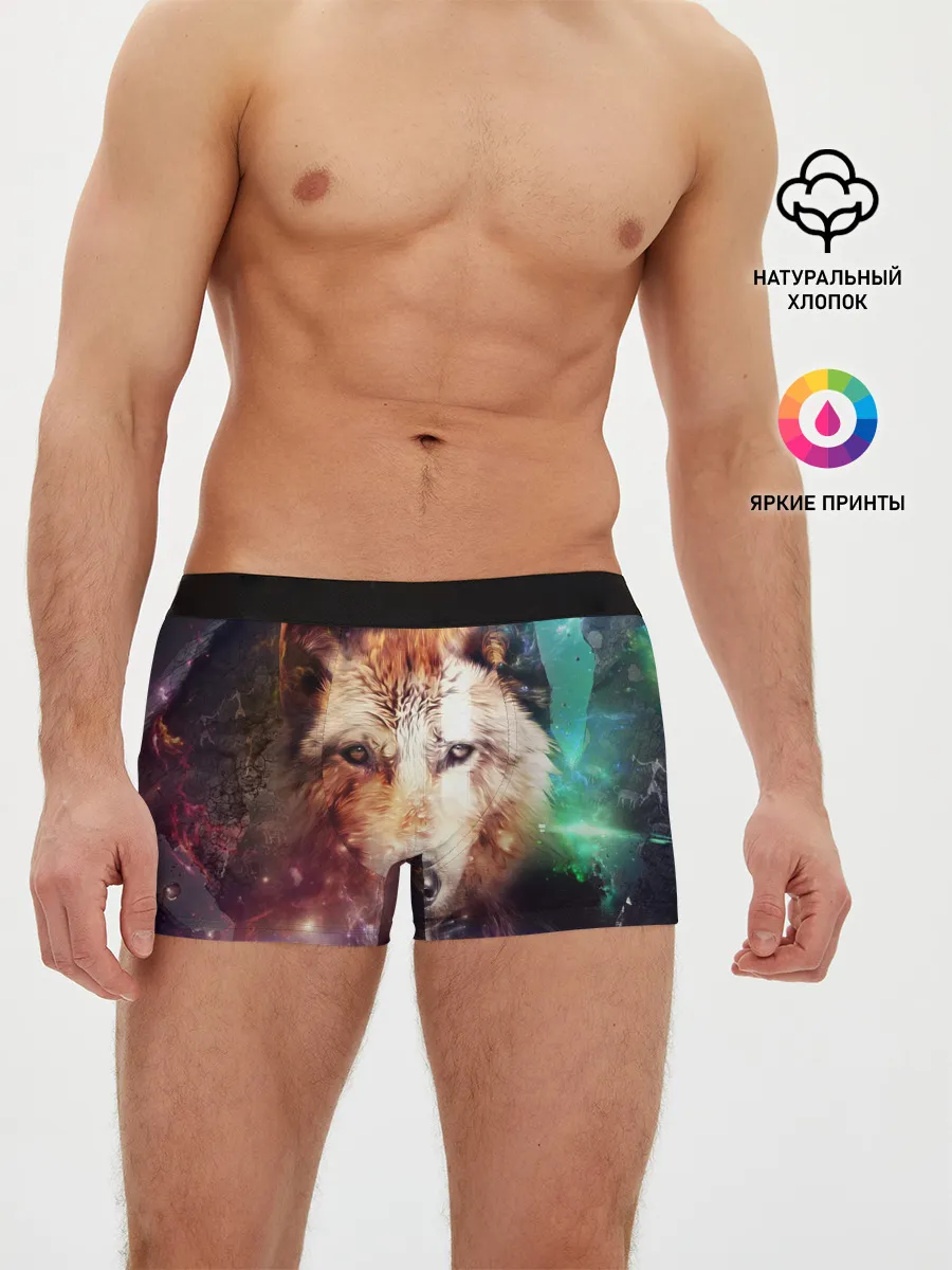 Мужские трусы боксеры / WOLF