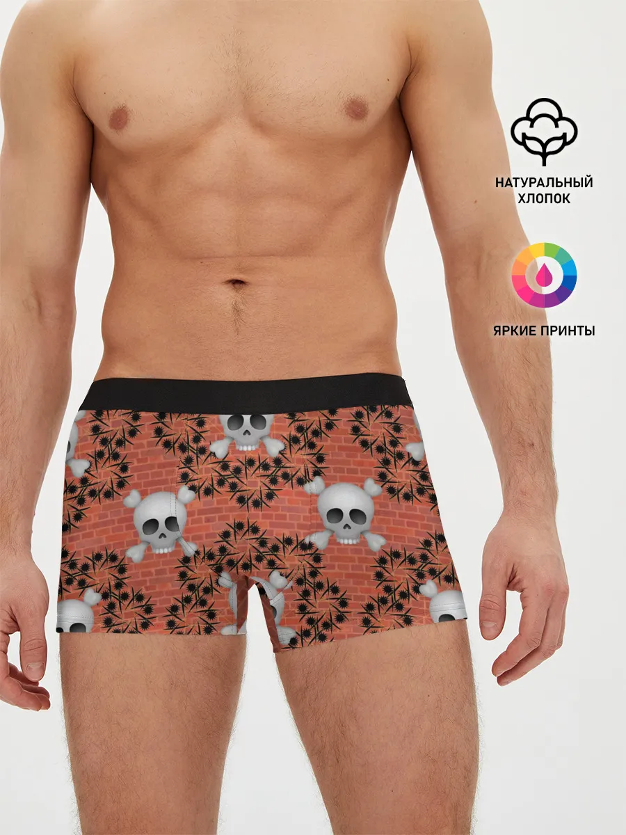 Мужские трусы боксеры / Кирпичные черепа